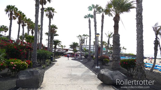 PalmerasPlaya Blanca