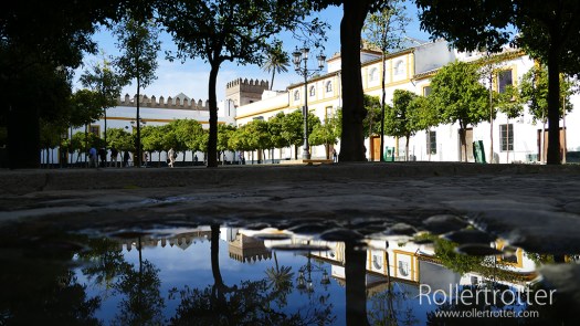 ReflejoPlazasevilla